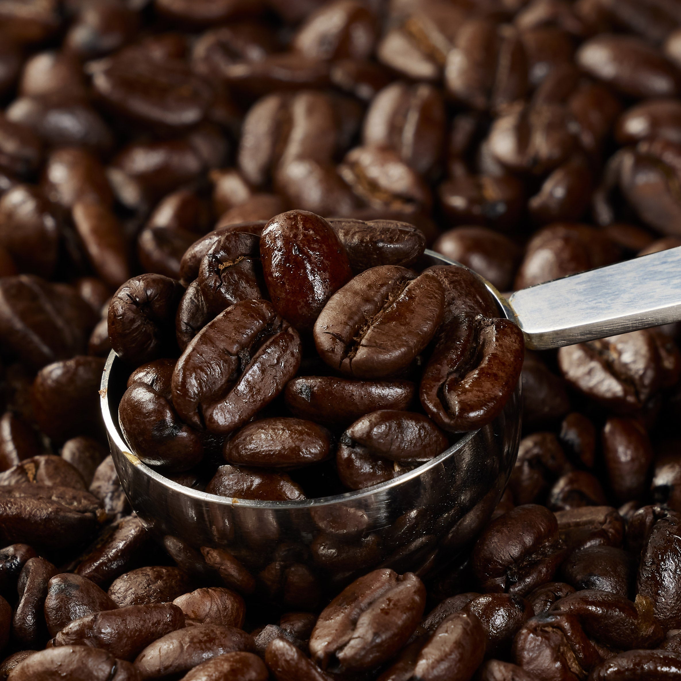 Colombian Supremo Coffee, Whole Bean, 3 lbs
