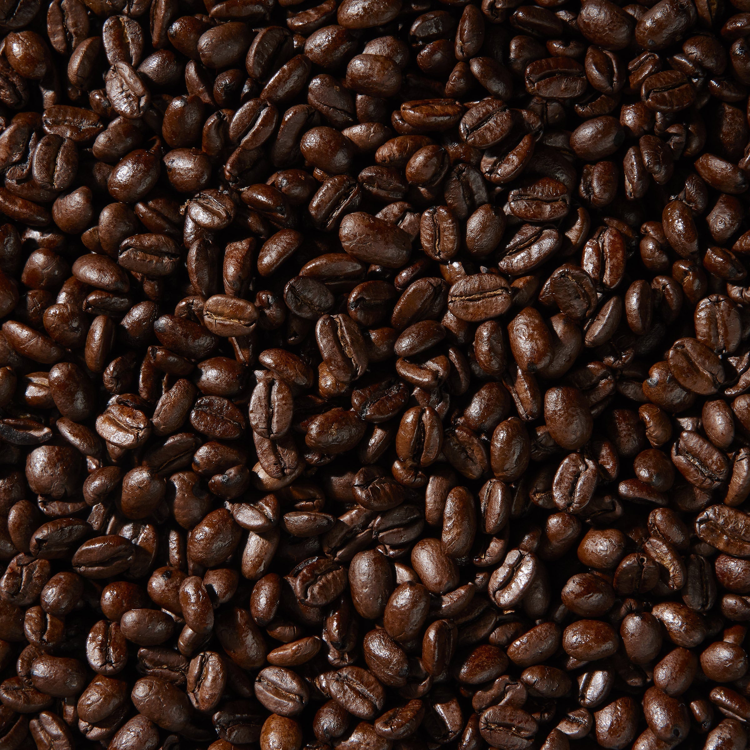 Colombian Supremo Coffee, Whole Bean, 3 lbs
