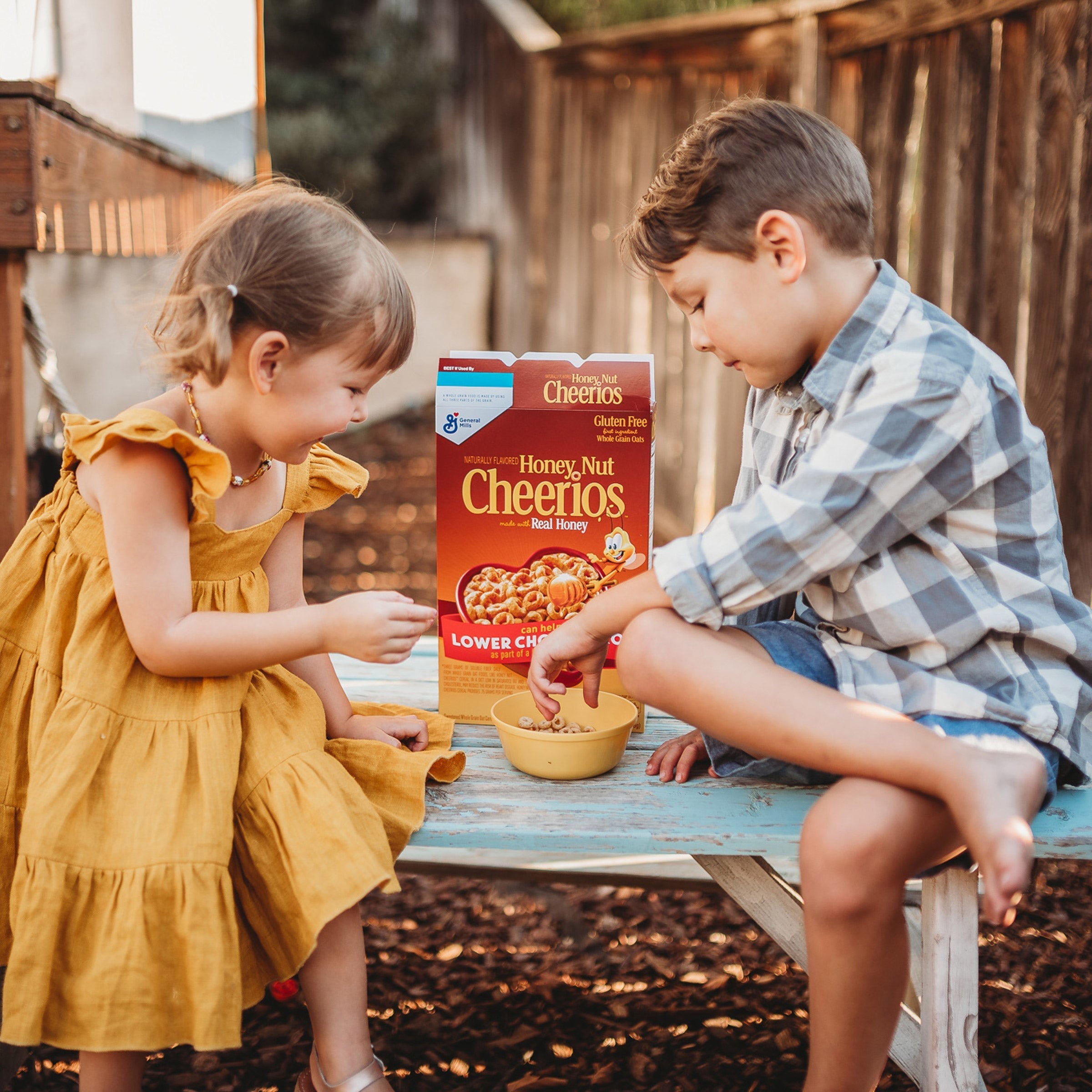 General Mills Honey Nut Cheerios, 27.5 oz, 2-count